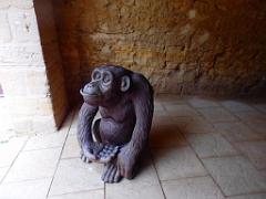 149 BIO PARC DE DOUE LA FONTAINE 2- 2016_000009